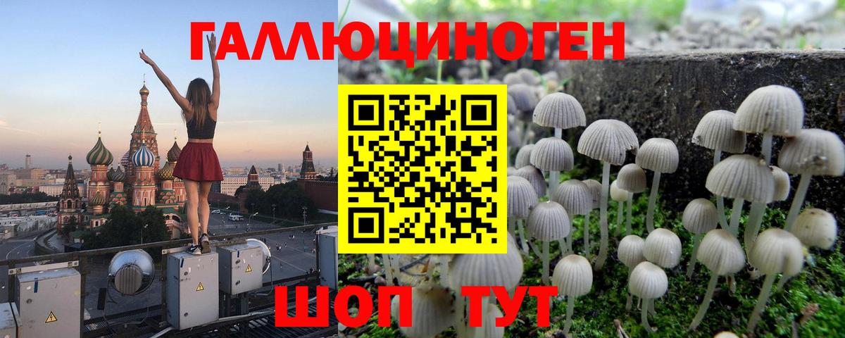 Псилоцибиновые грибы Magic Shrooms Ростов-на-Дону